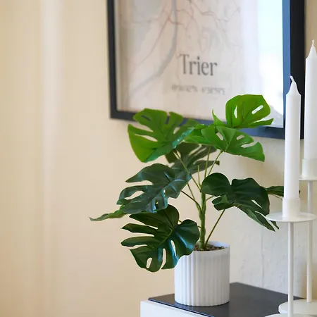 Apartment Marx - Stilvolles Studio-apartment Im Stadtzentrum - Ideal Fuer Paare & Geschaeftsreisende, Gratis Wlan *